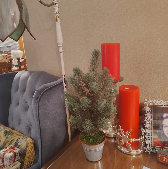 Mini Tree - Picture 3 of 5